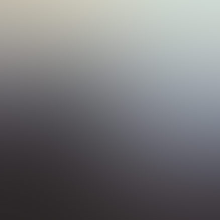 企业愿景